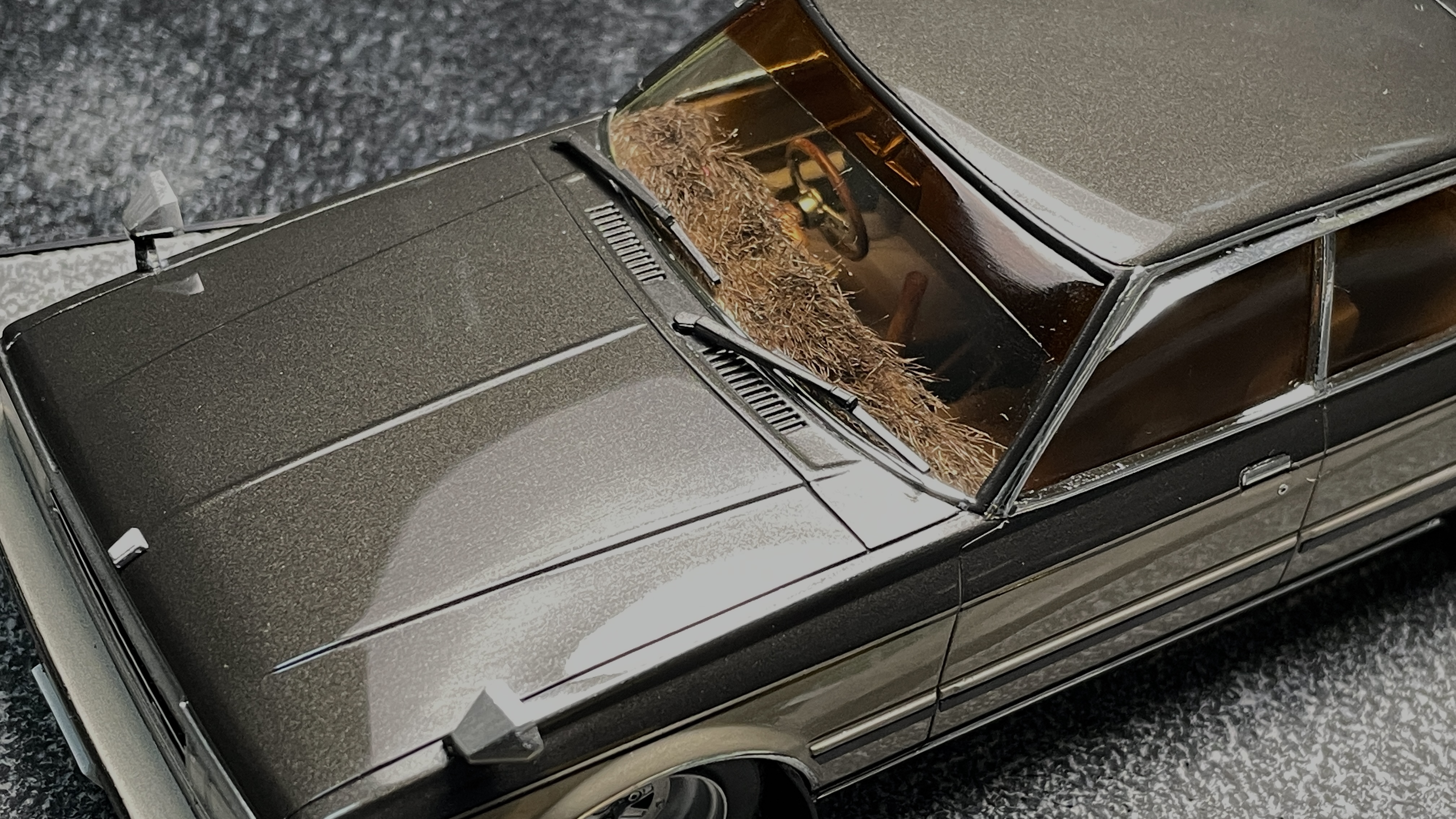 写真の説明を入れます