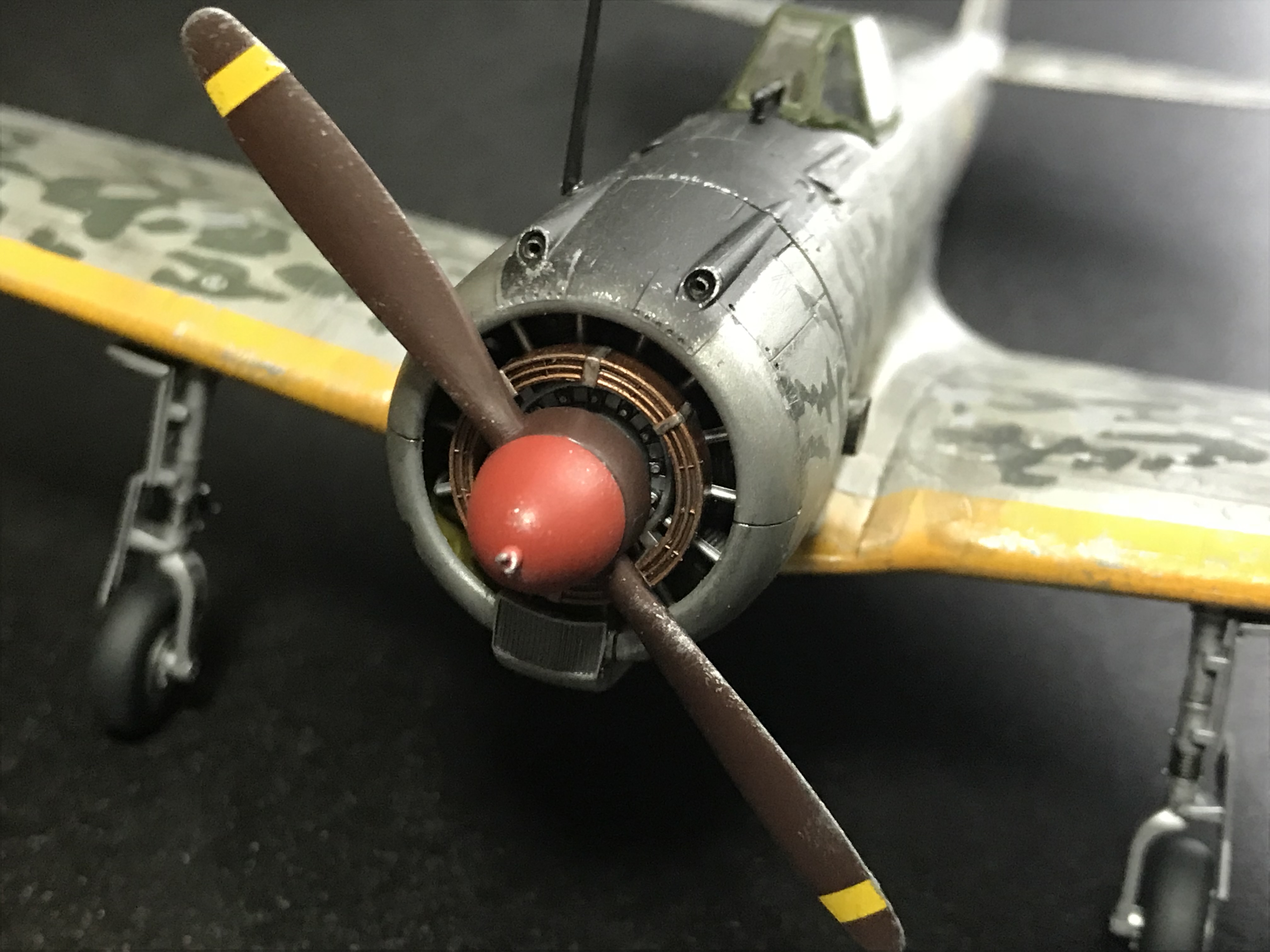 写真の説明を入れます