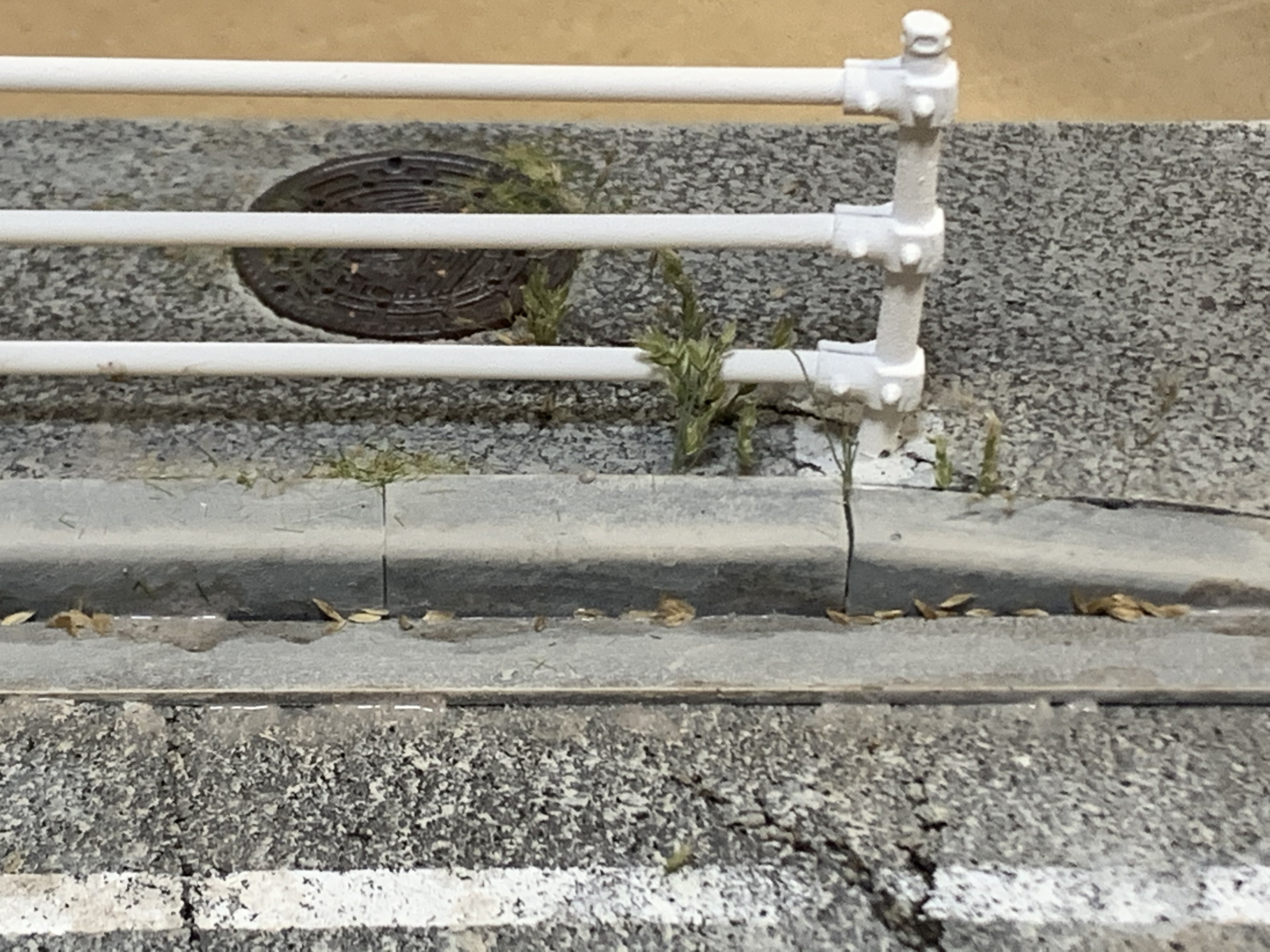 写真の説明を入れます