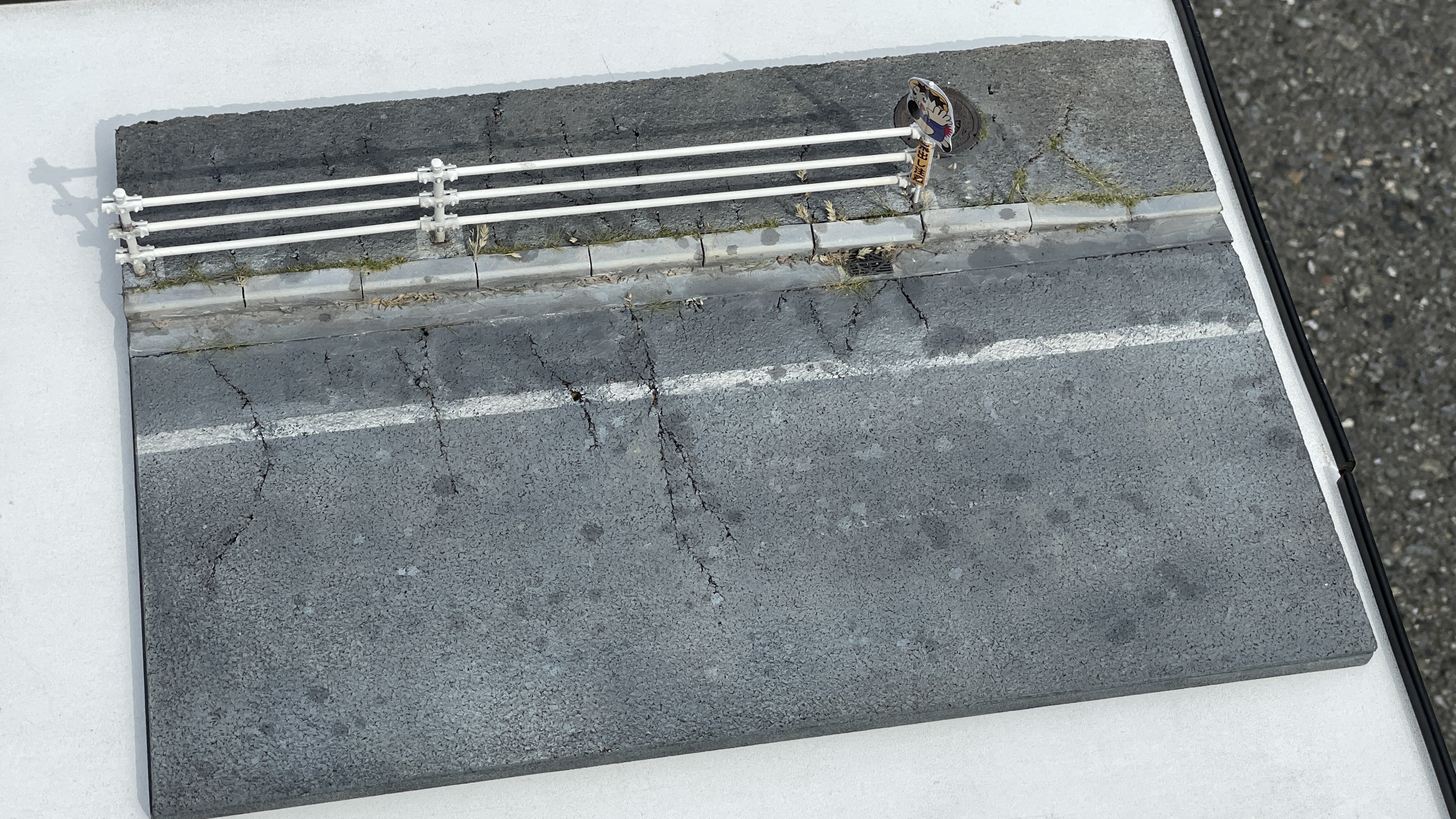 写真の説明を入れます