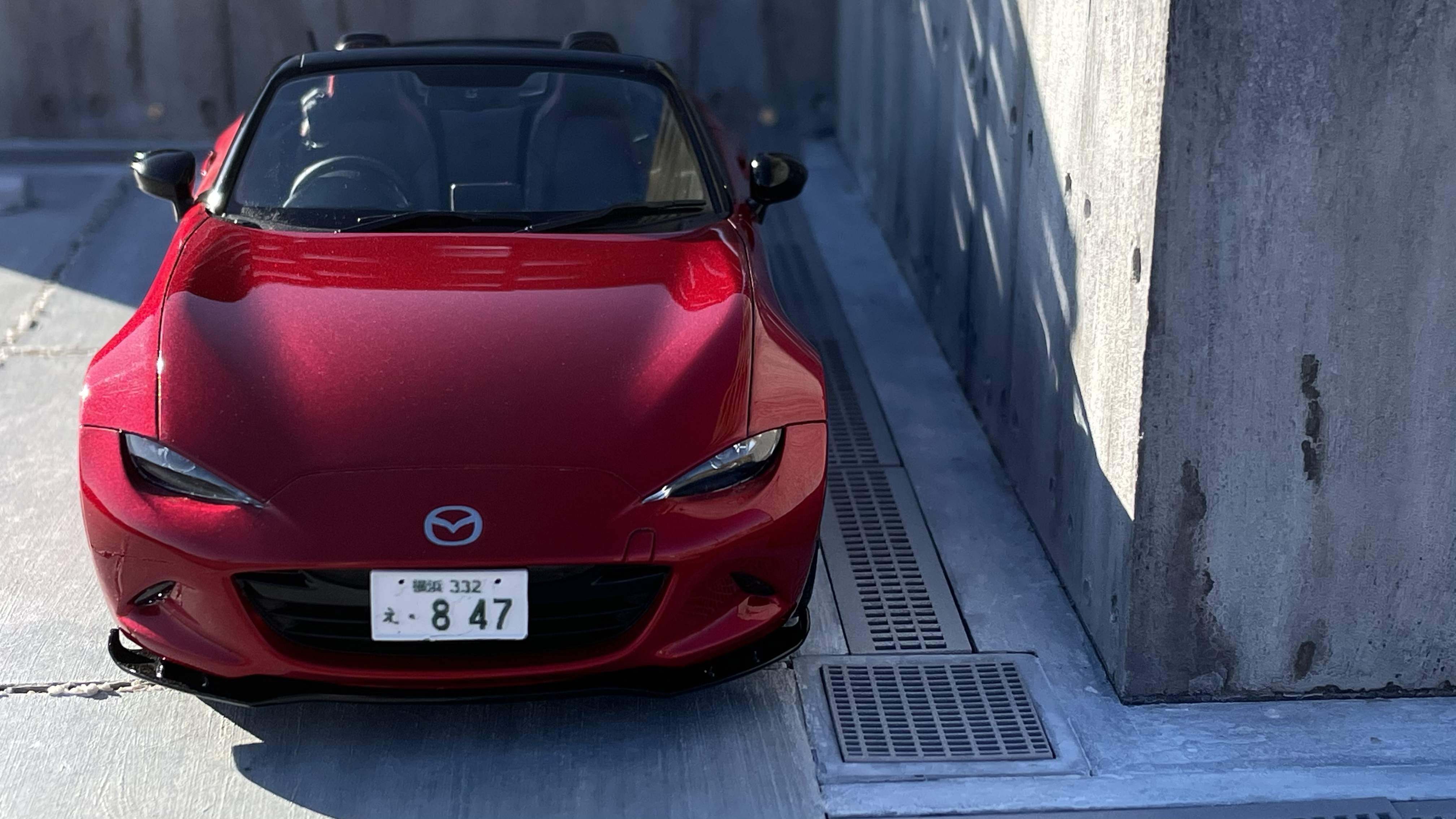 写真の説明を入れます