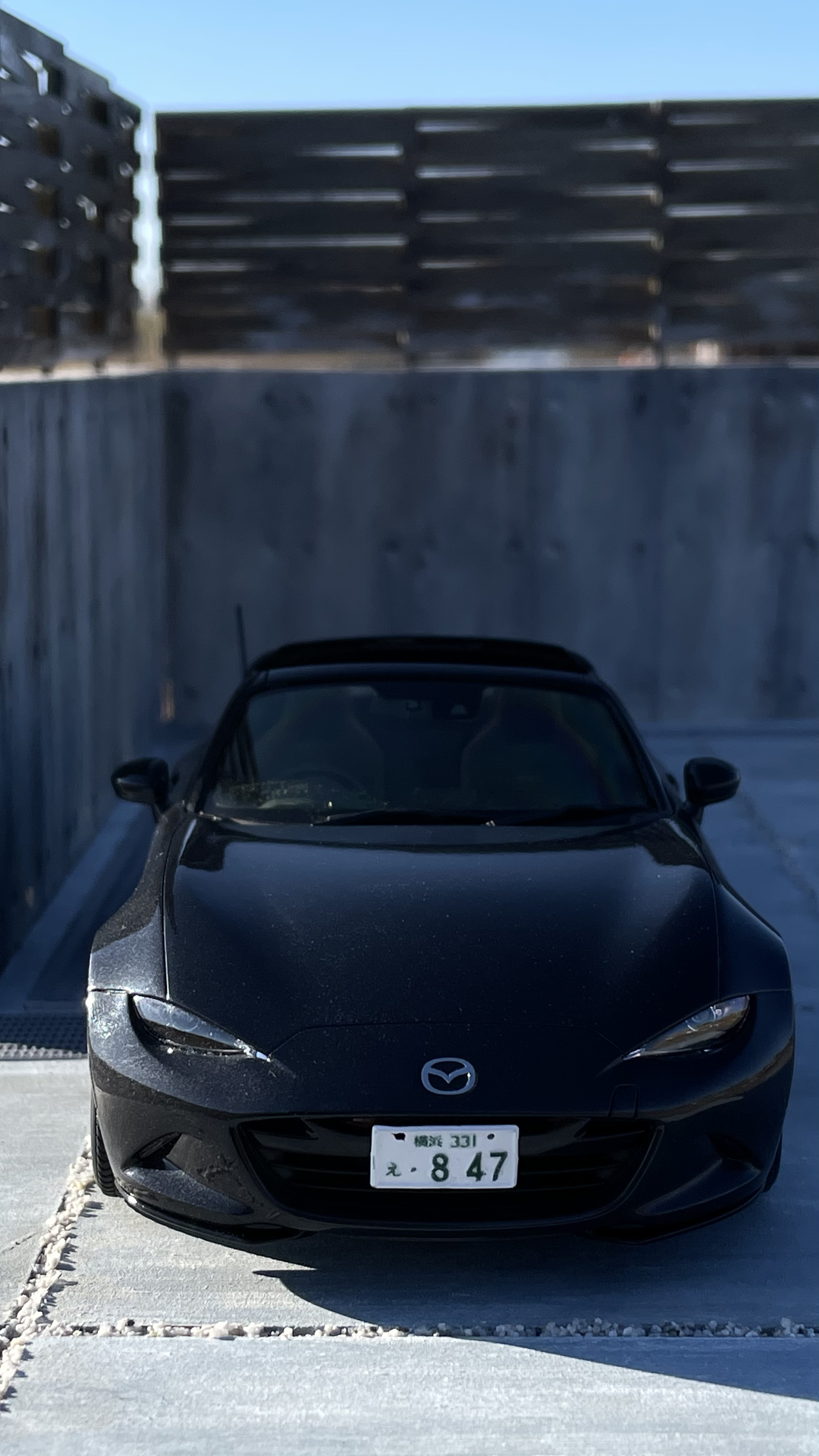 写真の説明を入れます