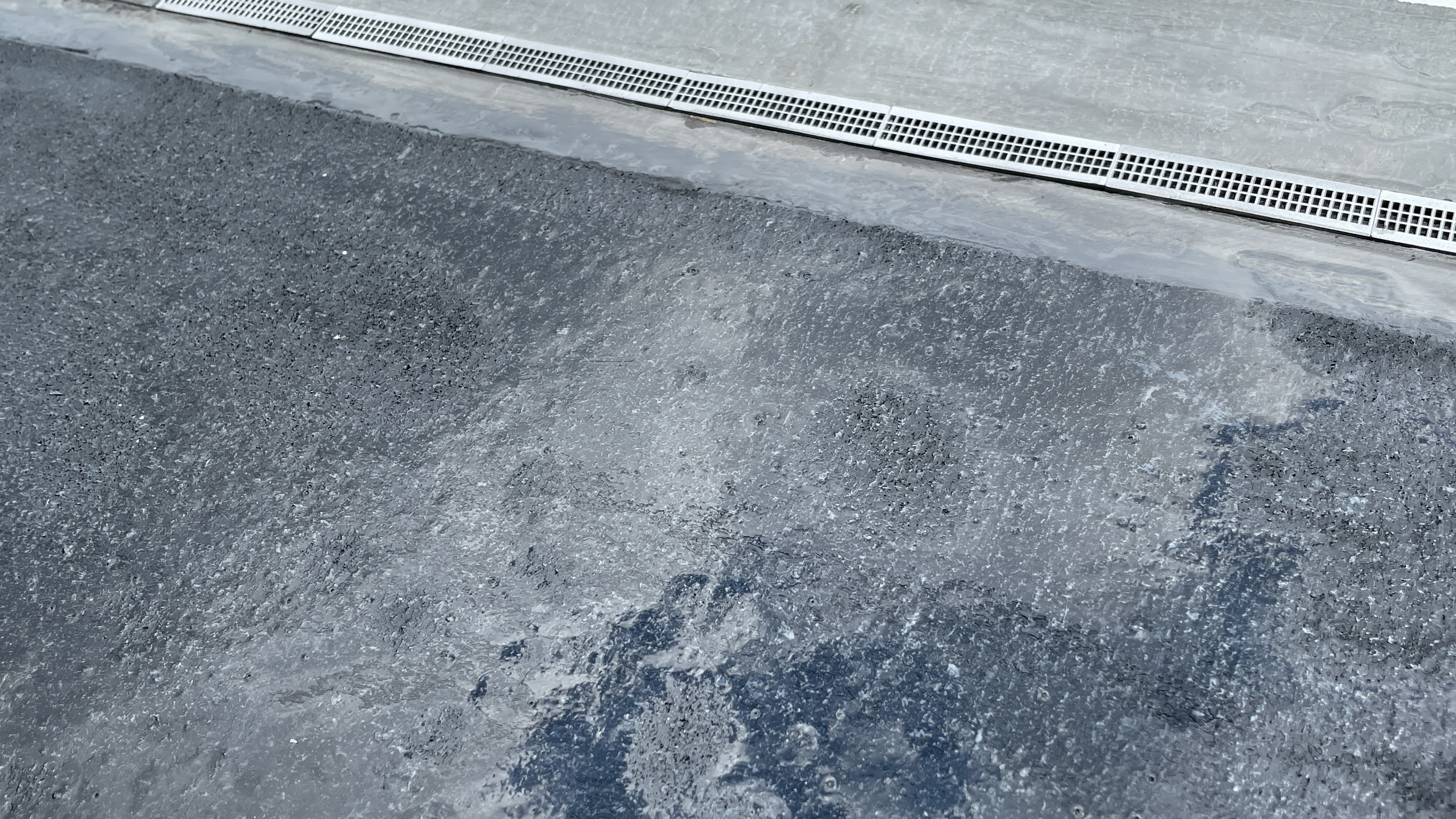 写真の説明を入れます