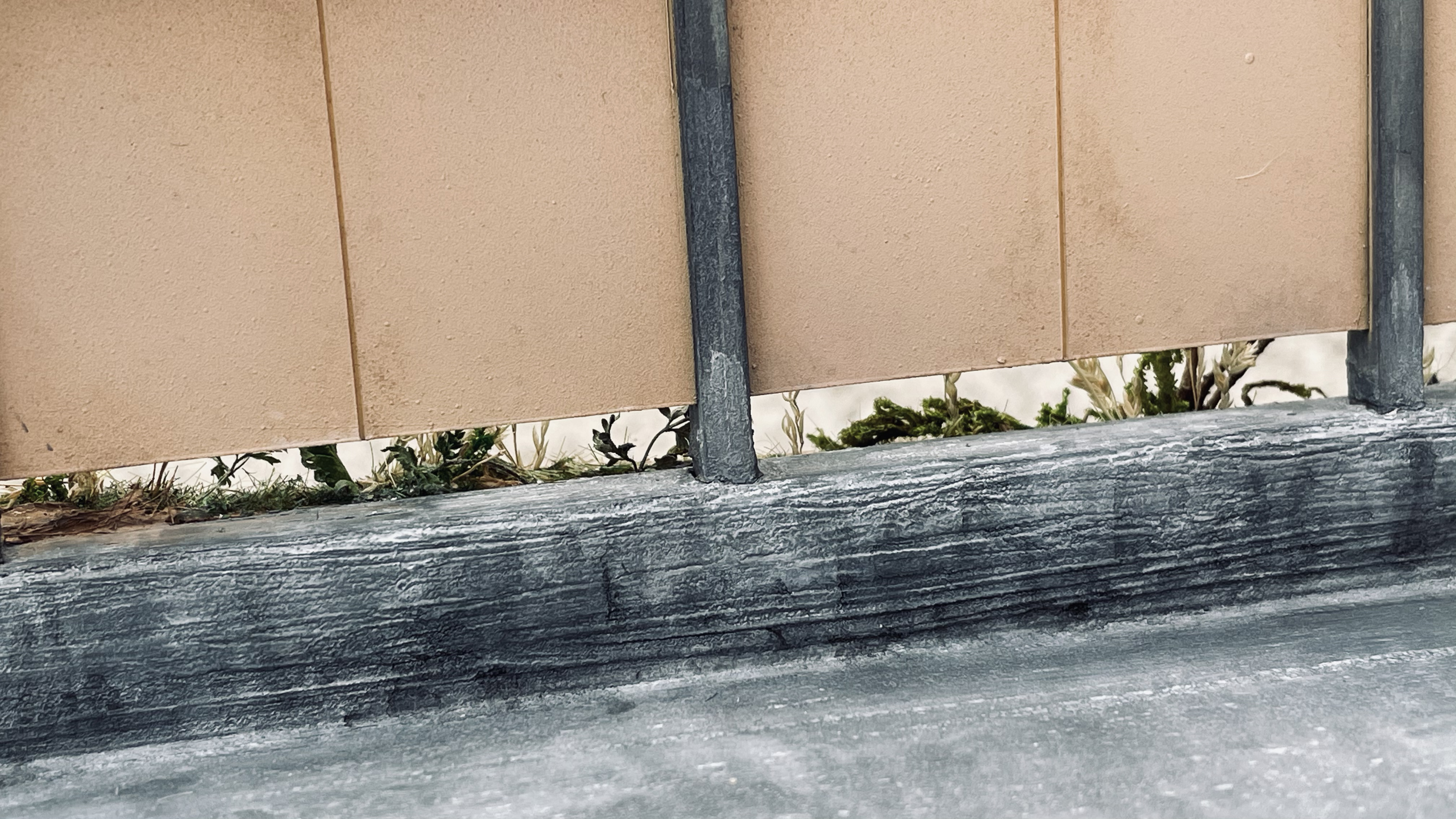 写真の説明を入れます